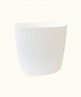 Macetero Milly Round  – 17 cm (169×169×149)