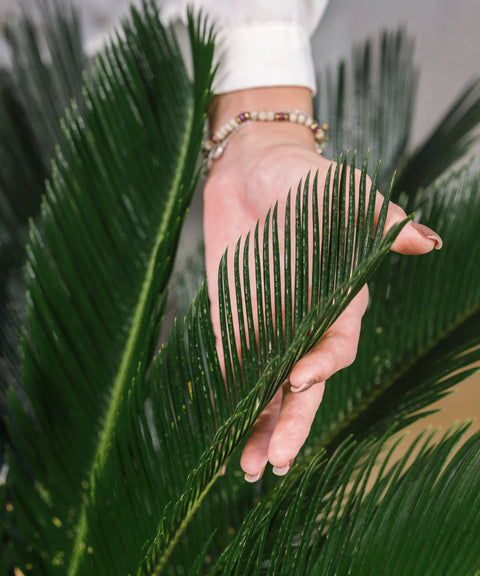 Envío cuidado y garantía